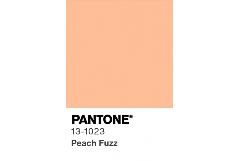 PEACH FUZZ, COLOR PANTONE DE 2024: UN MELOCOTÓN MUY SUAVE