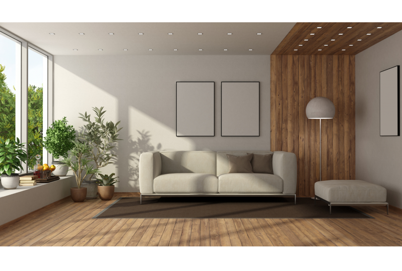 Decoración Orgánica en tu Hogar: ¿Cómo Conseguirla?